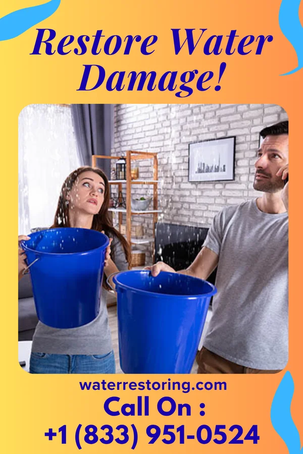 water restoration Zenith Disaster Recovery Experts Grayslake