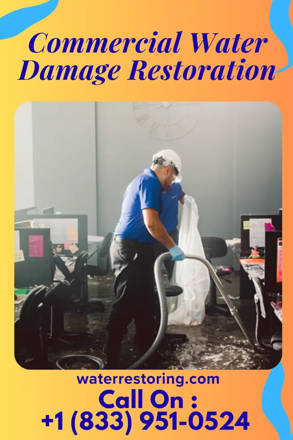 Commercial Water Damage Restoration in Grayslake, IL