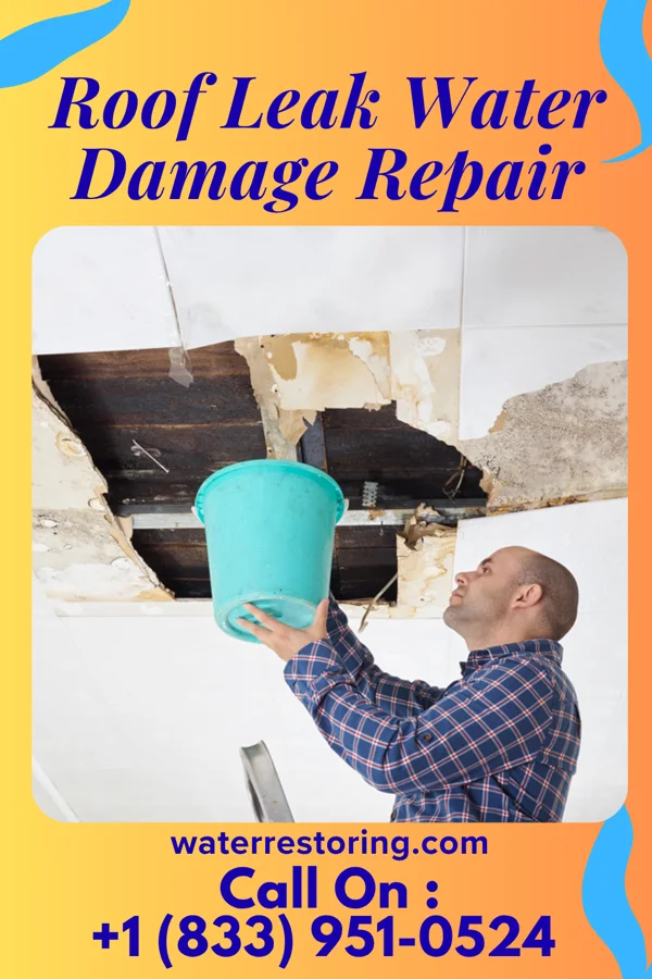 Roof Leak Water Damage Repair in Grayslake, IL